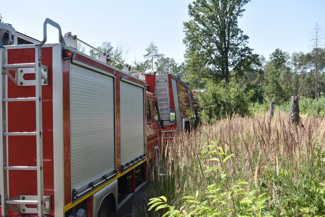 Seria pożarów na terenie Kędzierzyna. Płonął las w Azotach