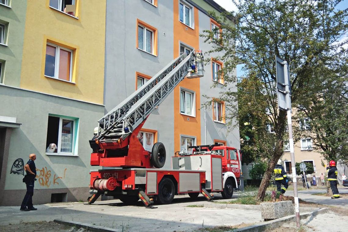 Służby ratunkowe interweniują przy Damrota. Nie było kontaktu z lokatorką