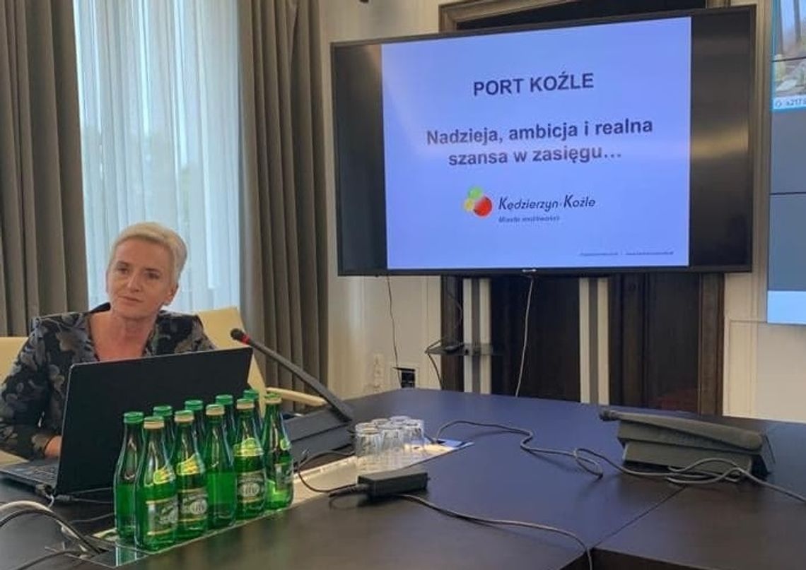 Sprawa kozielskiego portu poruszona w Senacie. Prezydent Nowosielska apelowała o przerwanie impasu