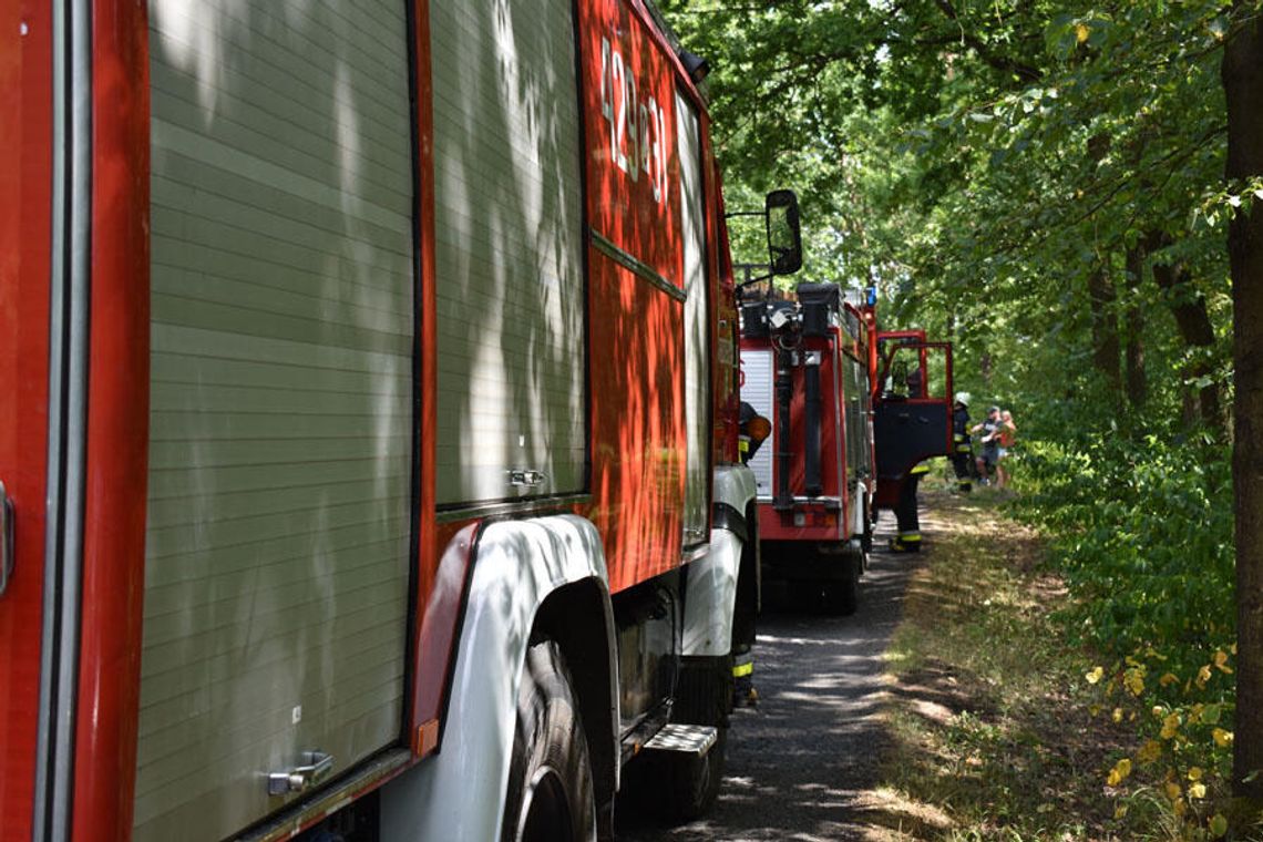 Tylko dziś strażacy dwukrotnie interweniowali do pożarów lasów w Kędzierzynie