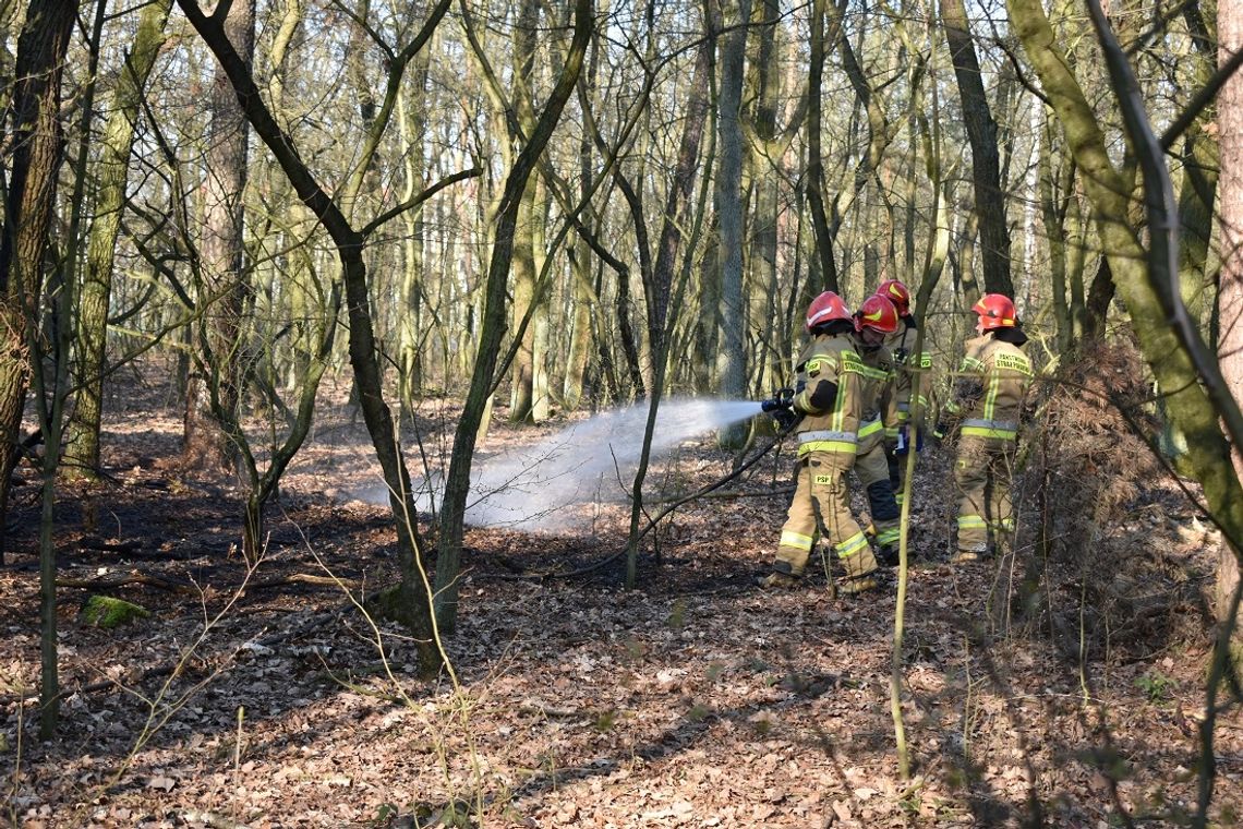 Strażacy dwukrotnie wyjeżdżali do pożarów na terenie powiatu