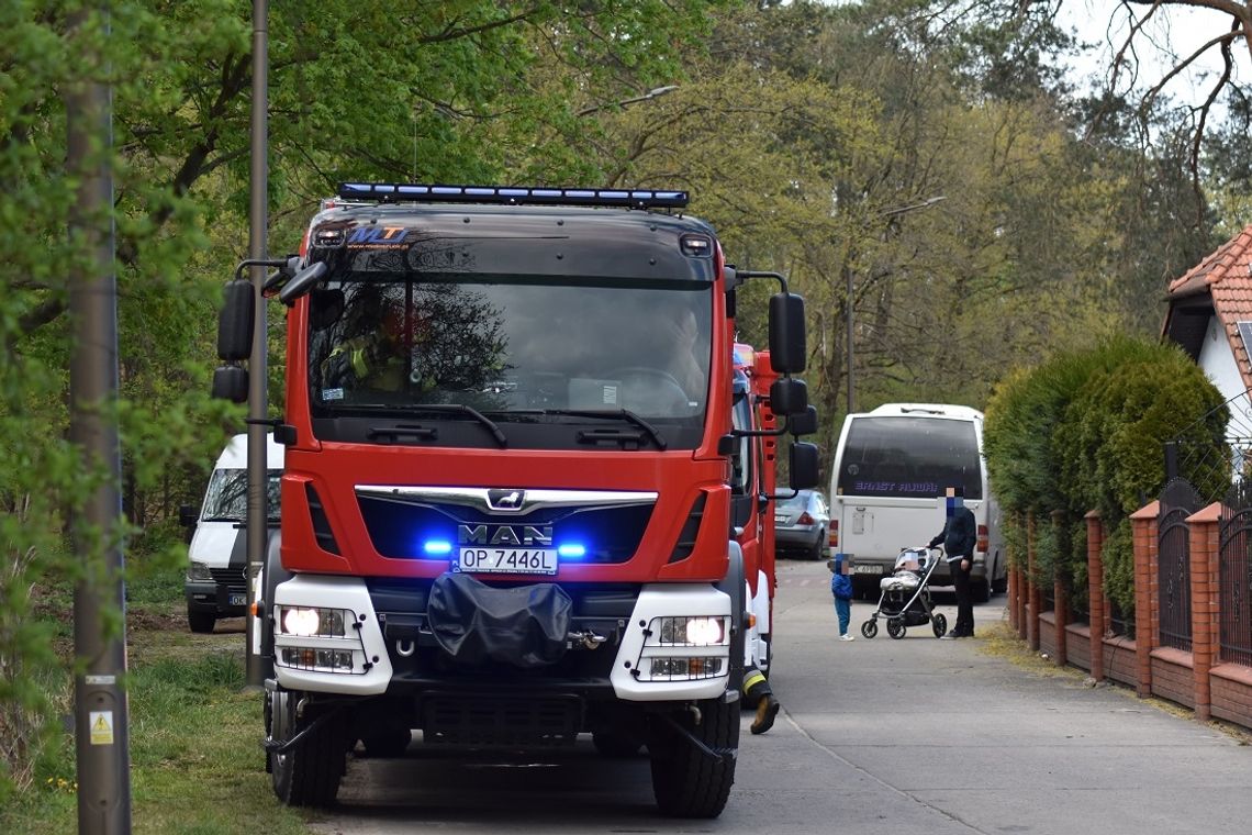 Strażacy gasili ognisko pozostawione w lesie przy alei Jana Pawła II