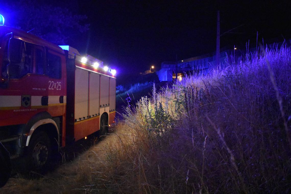 Strażacy gasili pożar nasypu kolejowego. Wieczorna interwencja na Żabieńcu