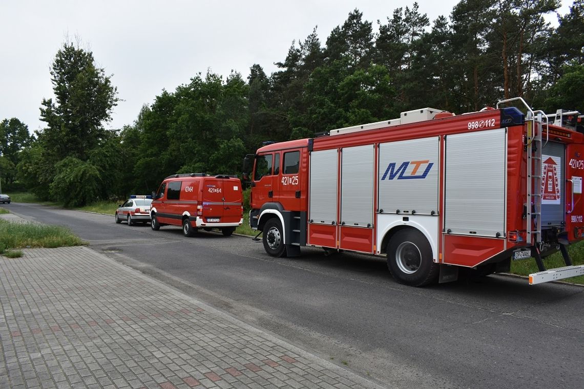 Strażacy interweniowali w Blachowni. Jeden ze spacerowiczów wyczuł ulatniający się gaz