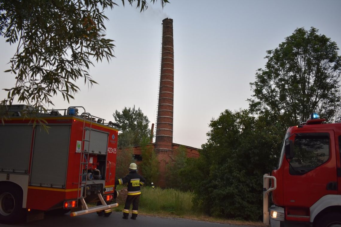 Strażacy interweniowali w Kobylicach. Doszło do pożaru na terenie byłej cegielni