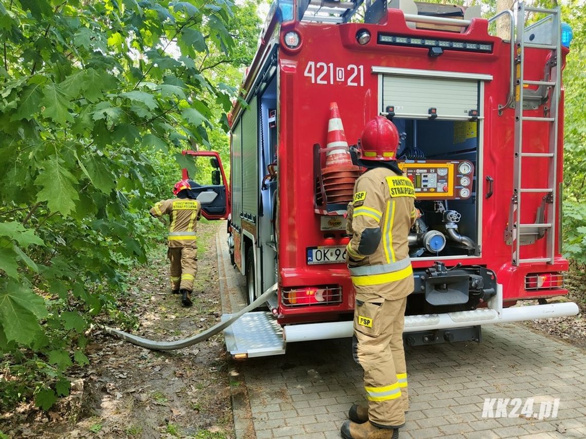 Strażacy interweniowali w Śródmieściu. Pożar za krytą pływalnią