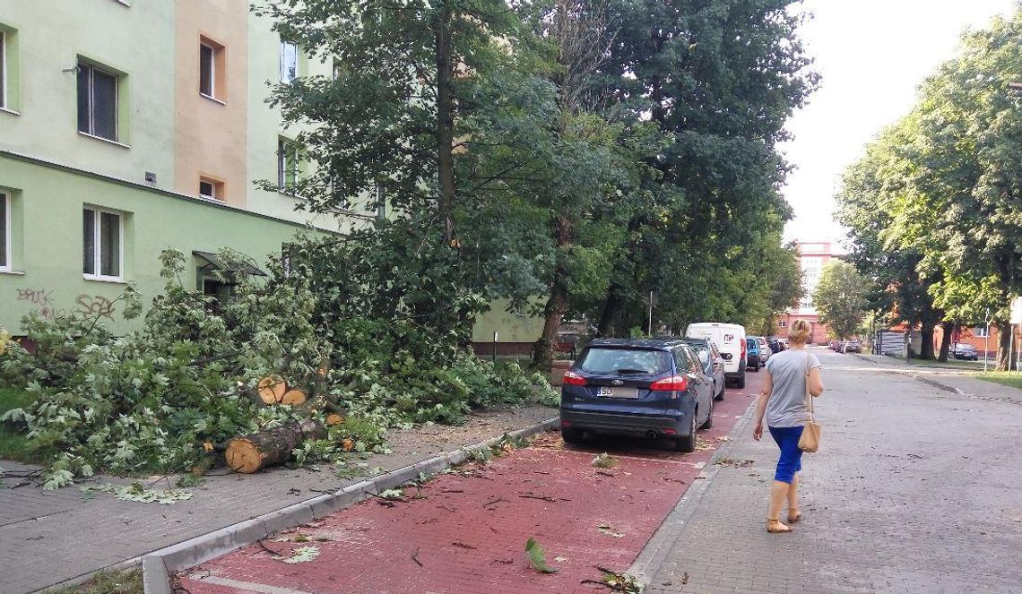 Strażacy mieli sporo pracy z usuwaniem skutków burzy. Tym razem obyło się bez dramatów