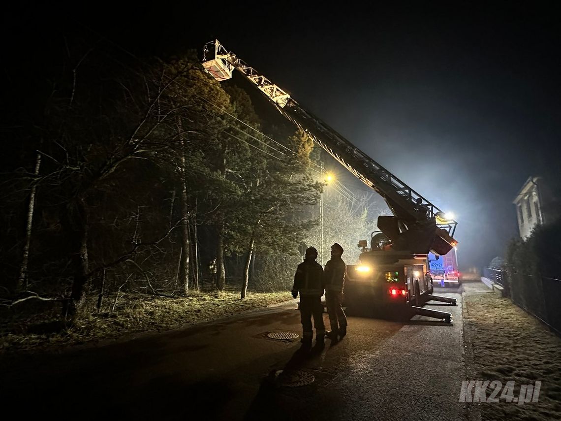 Strażacy ruszyli na ratunek kotu uwięzionemu na drzewie