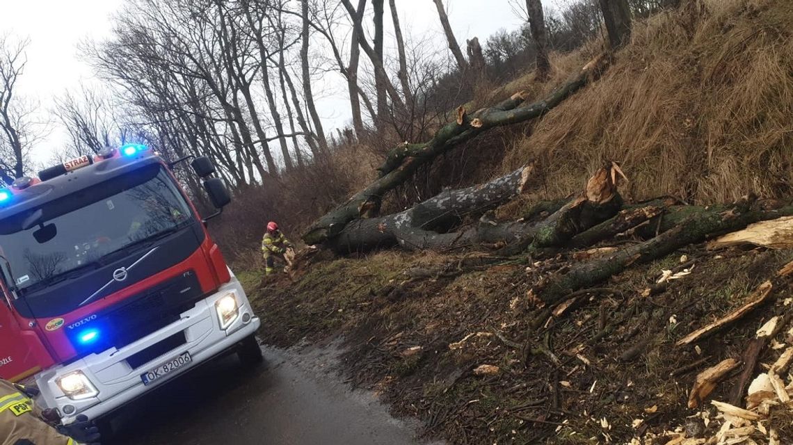 Strażacy usuwali skutki silnego wiatru. Meteorolodzy prognozują kolejne zagrożenia