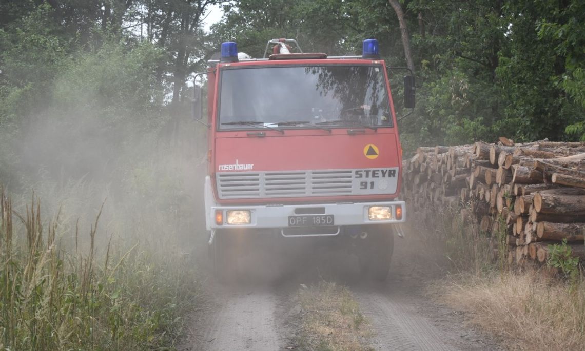 Strażacy walczą z pożarem lasu w Azotach. Ogień gaszony jest z ziemi i powietrza