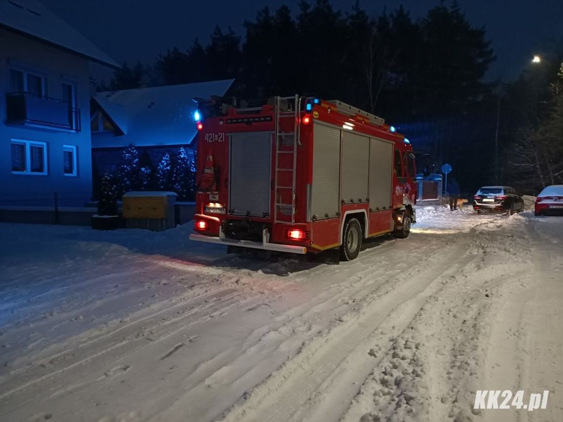 Strażacy wezwani do kota, który utknął na drzewie. Na ich widok postanowił sam zejść