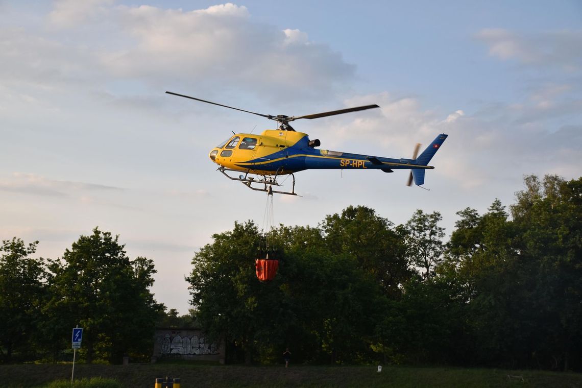 Strażacy z całej gminy gasili pożar lasu. W akcji brało udział 13 zastępów, quad, dron i śmigłowiec gaśniczy