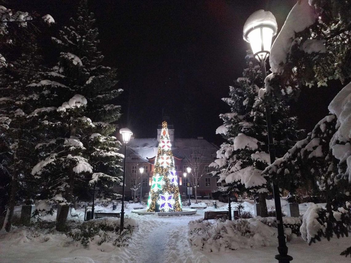 Świąteczna choinka znów rozbłyśnie przed starostwem. Drzewko pojawi się na początku grudnia Świąteczna choinka znów rozbłyśnie przed starostwem. Drzewko pojawi się na początku grudnia