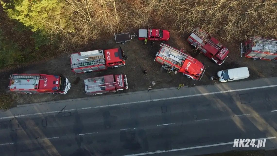 Szczęśliwy finał poszukiwań zaginionego grzybiarza. Mężczyzna samodzielnie wyszedł z lasu