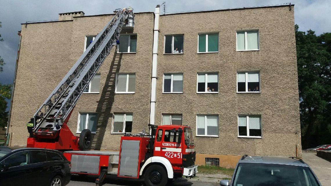 Szerszenie znowu dały się we znaki. Tym razem na budynku oddziału dziecięcego