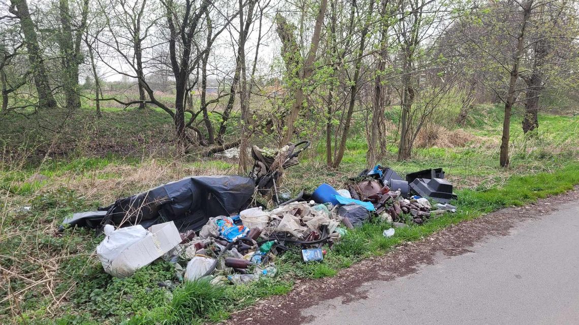 Tam powstaje dzikie wysypisko śmieci. Mieszkańcy ulicy Modrzewiowej interweniują, ale sprawa nie jest prosta, bo teren jest prywatny
