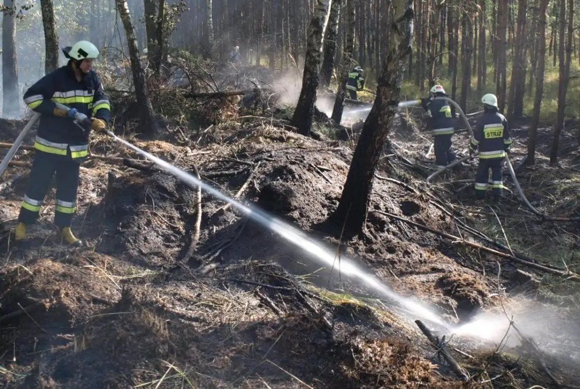 Trzeci, najwyższy stopień zagrożenia pożarowego. Leśnicy apelują o ostrożność w lasach