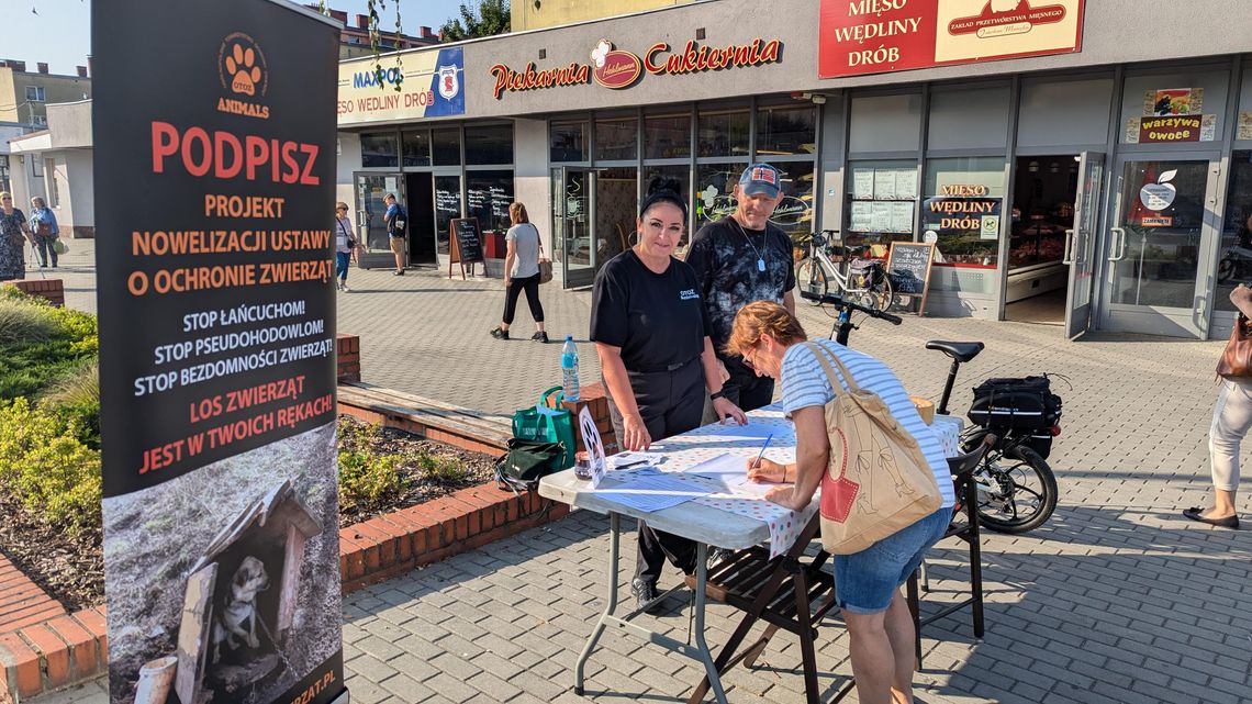 Chcą poprawić los zwierząt. Już w sobotę zbiórka podpisów w galerii Odrzańskie Ogrody