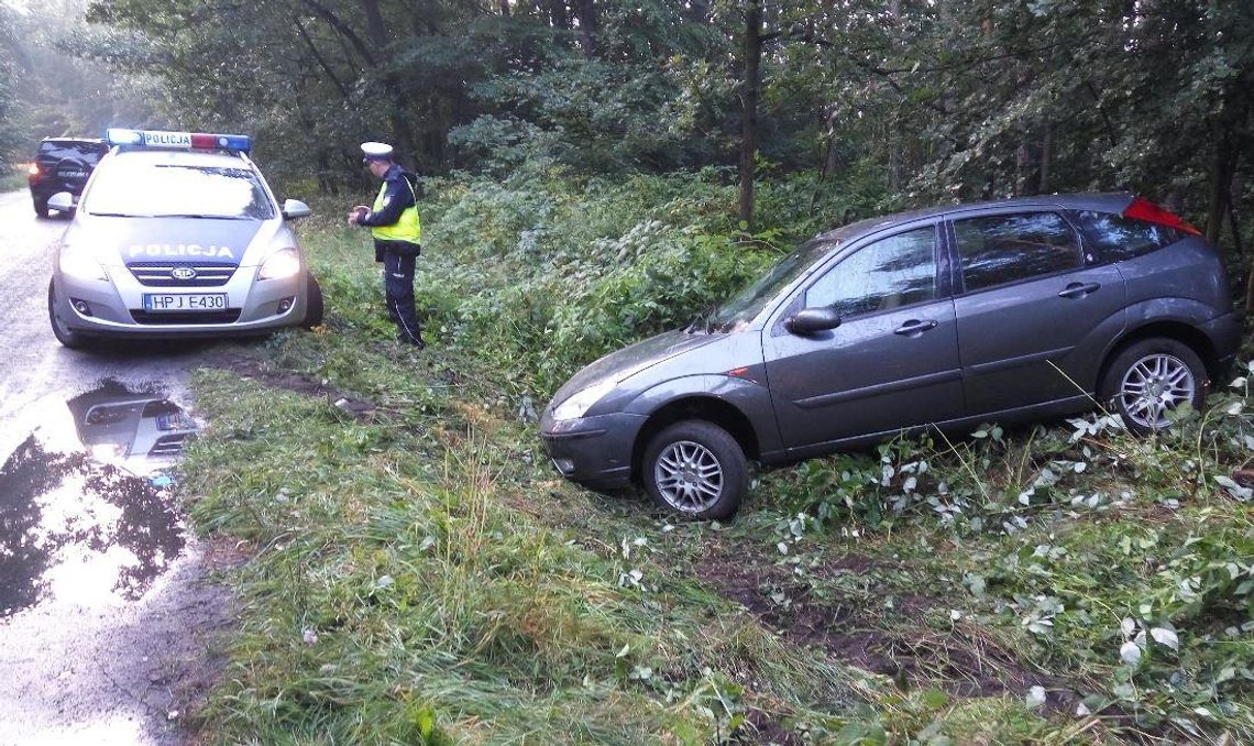 Uciekając przed sarną, wpadła w poślizg i wylądowała w rowie. Kolizja na ulicy Kłodnickiej