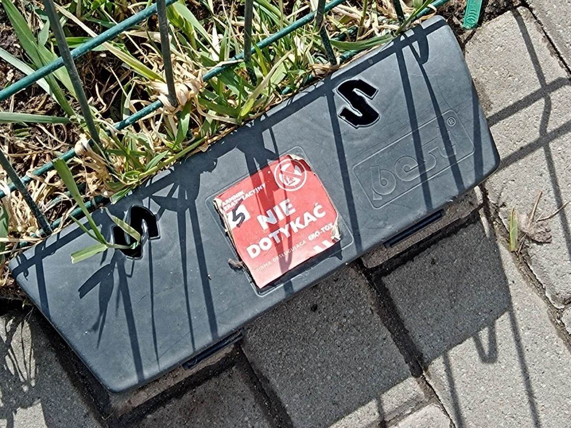 Urząd miasta przypomina właścicielom nieruchomości o obowiązku odszczurzania w październiku