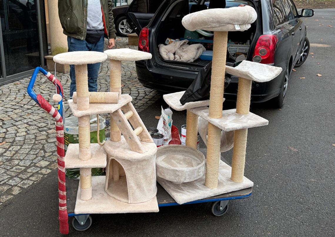 Urzędnicy magistratu dołączyli do akcji „Zbiórka pyszności dla futrzastości”. Przekazali karmę i akcesoria Urzędnicy magistratu dołączyli do akcji „Zbiórka pyszności dla futrzastości”. Przekazali karmę i akcesoria