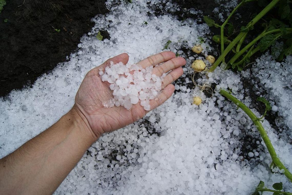 Uwaga, jeszcze dzisiaj możliwa burza z gradem. Ostrzeżenie meteorologiczne