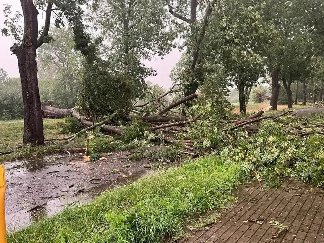 Uwaga kierowcy! Burza powoduje utrudnienia na drogach w regionie Uwaga kierowcy! Burza powoduje utrudnienia na drogach w regionie