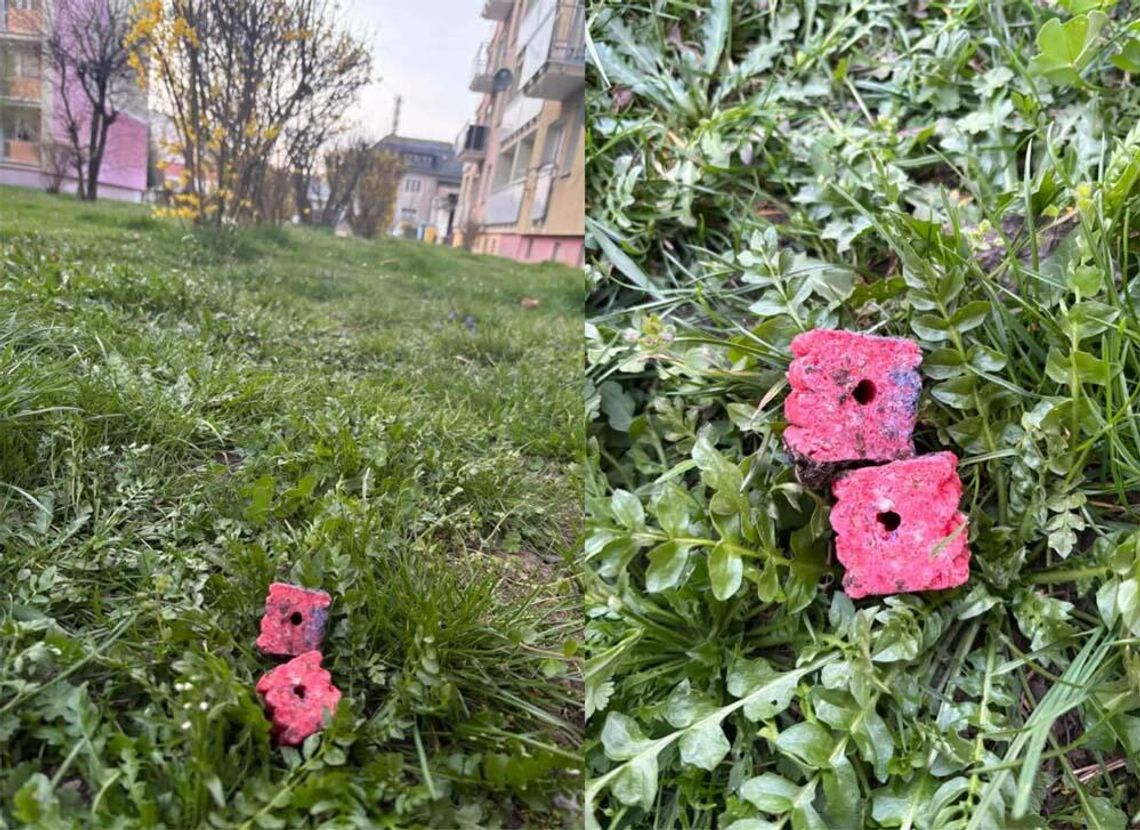 Uwaga! Ktoś może próbować zatruć zwierzęta. Dziwna substancja rozrzucona na osiedlu i ogródkach Uwaga! Ktoś może próbować zatruć zwierzęta. Dziwna substancja rozrzucona na osiedlu i ogródkach