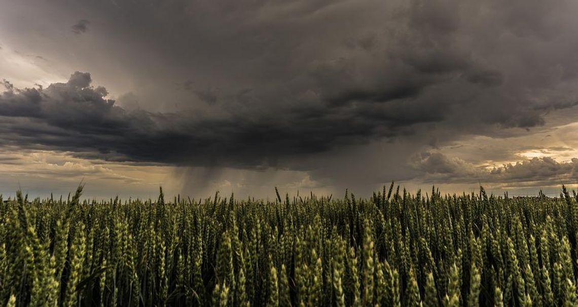 Uwaga! Nad Opolszczyzną może przejść kolejny front burzowy! Ostrzeżenie meteorologiczne