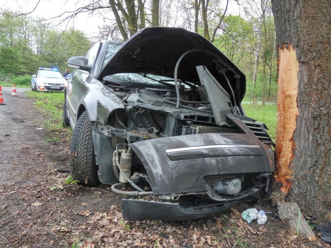 Volkswagen Passat wypadł z drogi i wbił się w drzewo. Dwie osoby trafiły do szpitala. ZDJĘCIA