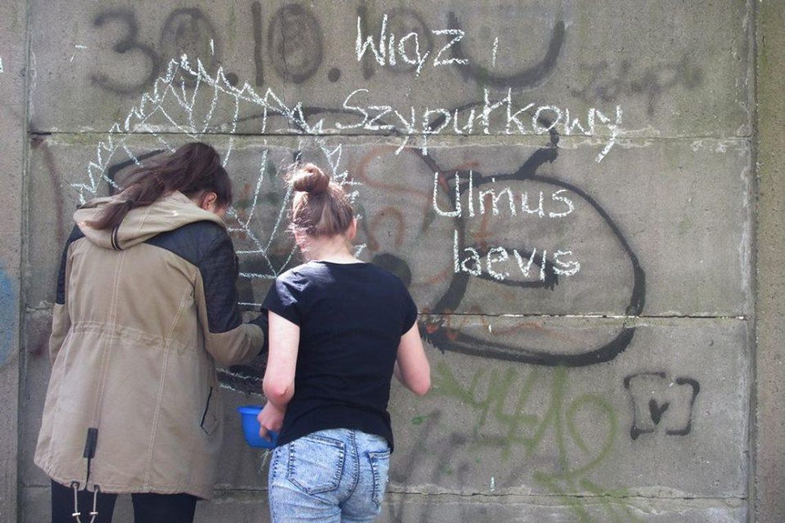 W Kędzierzynie-Koźlu powstało niezwykłe graffiti. Żeby je zobaczyć, najpierw musi urosnąć