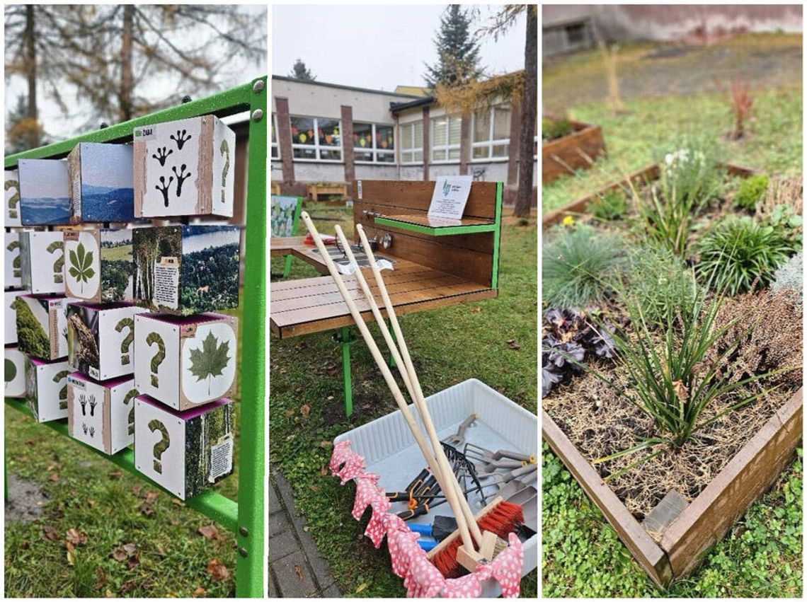 W Publicznej Szkole Podstawowej nr 3 powstała "Pracownia pod chmurką". Teraz lekcje przyrody są dużo ciekawsze