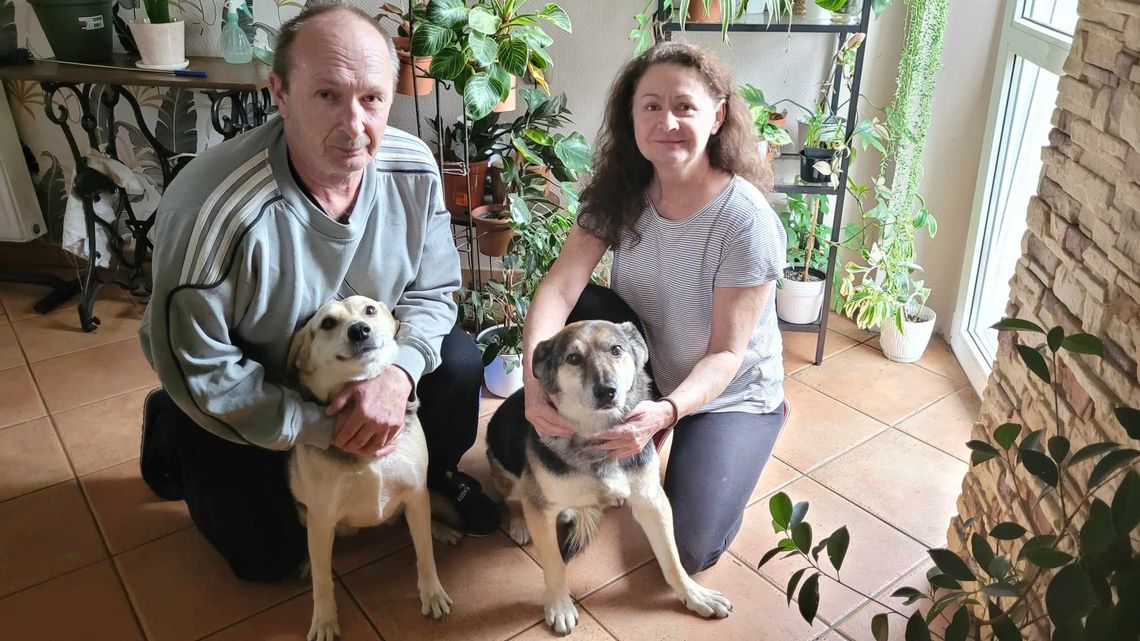 W schronisku w Wojtyszkach przeszedł dramat... Ten psiak miał marne szanse na adopcje, dzięki akcji "Mrozy" znalazł nowy dom
