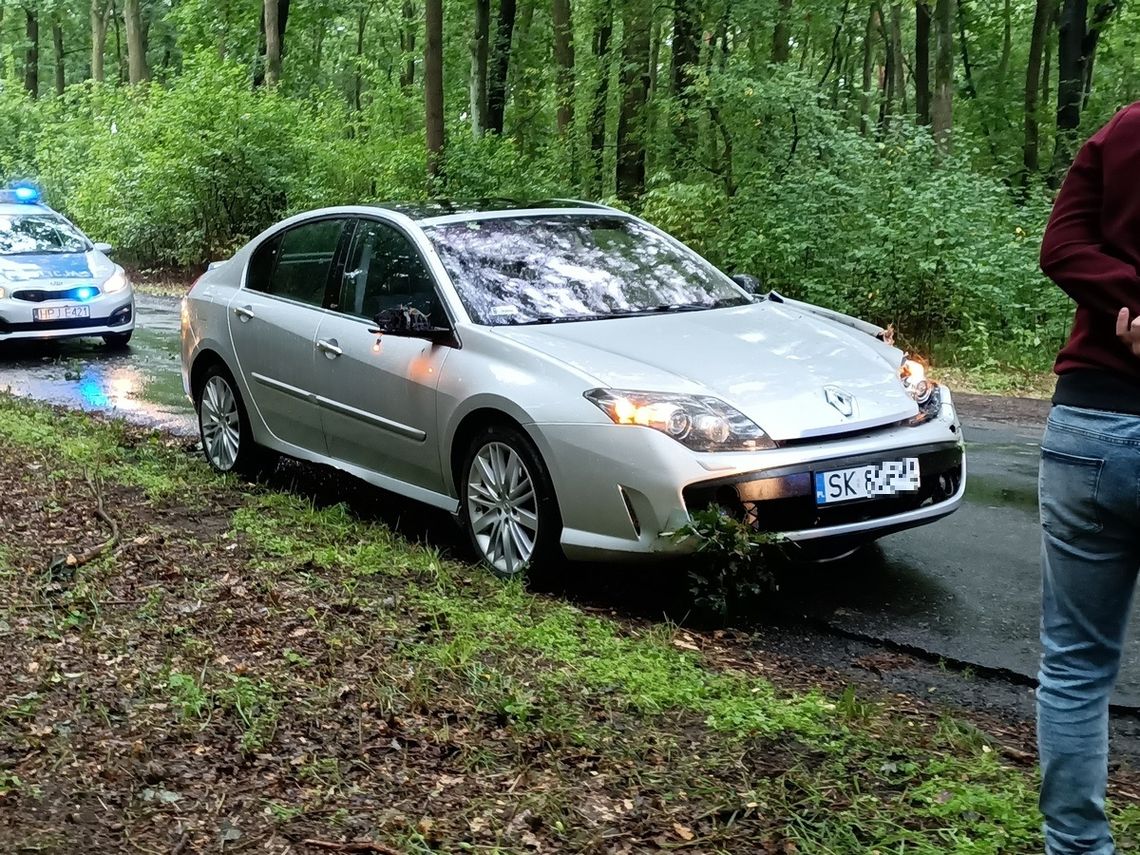 W trakcie jazdy na samochód spadł konar. Niebezpieczna sytuacja na drodze między Miejscem Kłodnickim a Sławięcicami