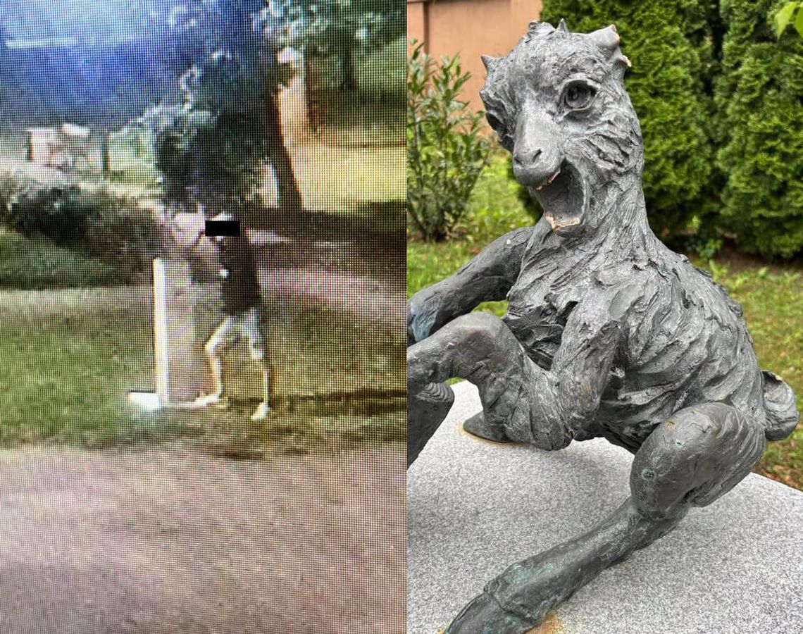 Wandal nie odpuszcza. Zniszczył kolejne koziołki i pomnik ZAKSY. Nagrał go monitoring