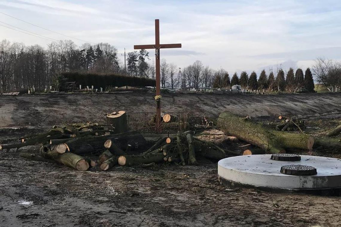 Wielka awantura o drzewa w Sławięcicach. Miasto wycięło, dla niektórych to zamach na świętość