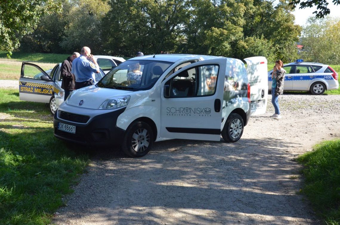 Wolontariusze ruszyli na ratunek zwierzętom żyjącym w fatalnych warunkach