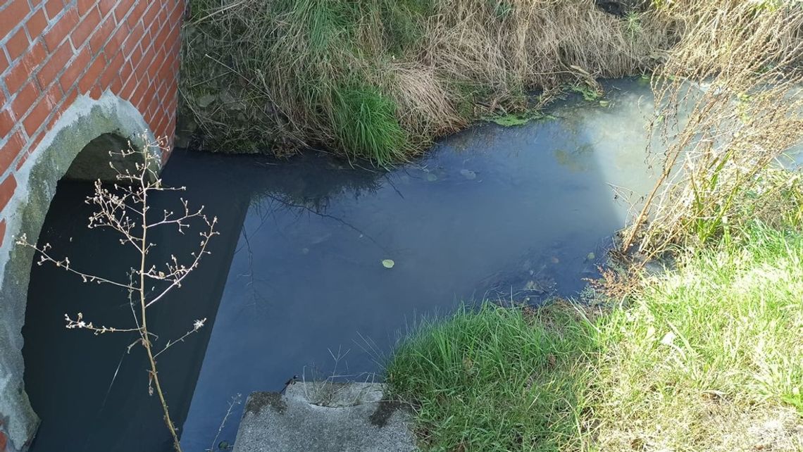 Wraca sprawa rowu R3. Mieszkańcy Blachowni czują okropny fetor. Boją się o swoje zdrowie