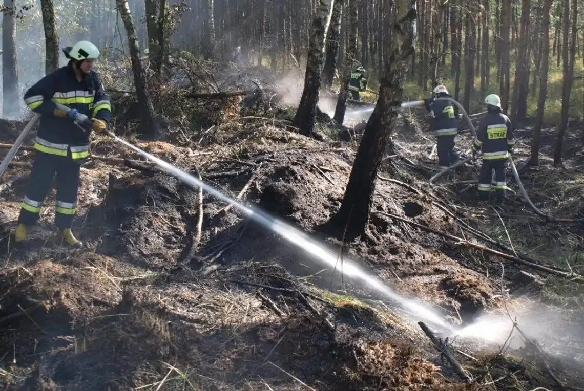 Wraz z nadejściem wiosny rośnie ryzyko pożarowe w lasach. Wydano drugi stopień alarmowy