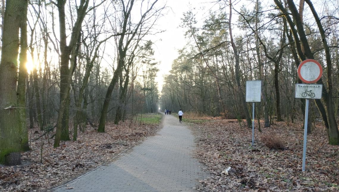 Wszystkie lasy w okolicy Kędzierzyna-Koźla dostępne dla mieszkańców. Nadleśnictwo w całości odwołało zakaz