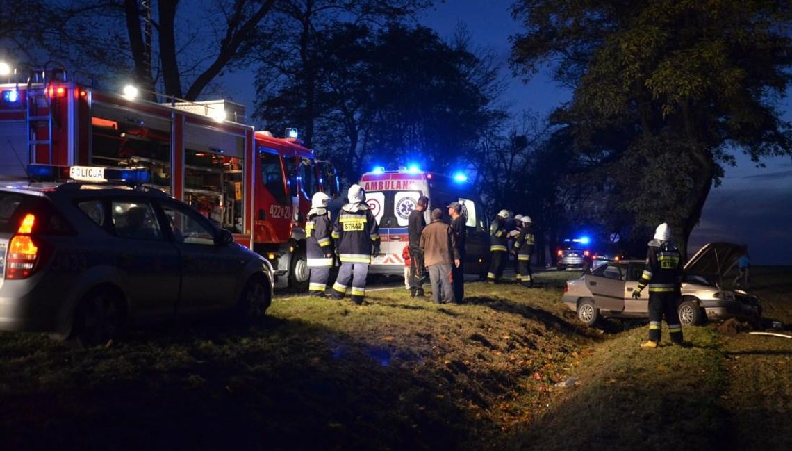 Wypadek na drodze krajowej nr 38. Dwie osoby zostały poszkodowane. ZDJĘCIA