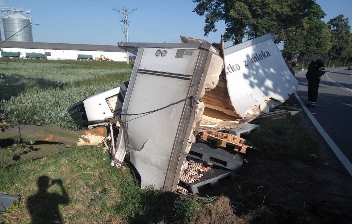 Wypadek na drodze krajowej w Reńskiej Wsi. Ciężarówka zjechała z drogi i ścięła drzewo. ZDJĘCIA