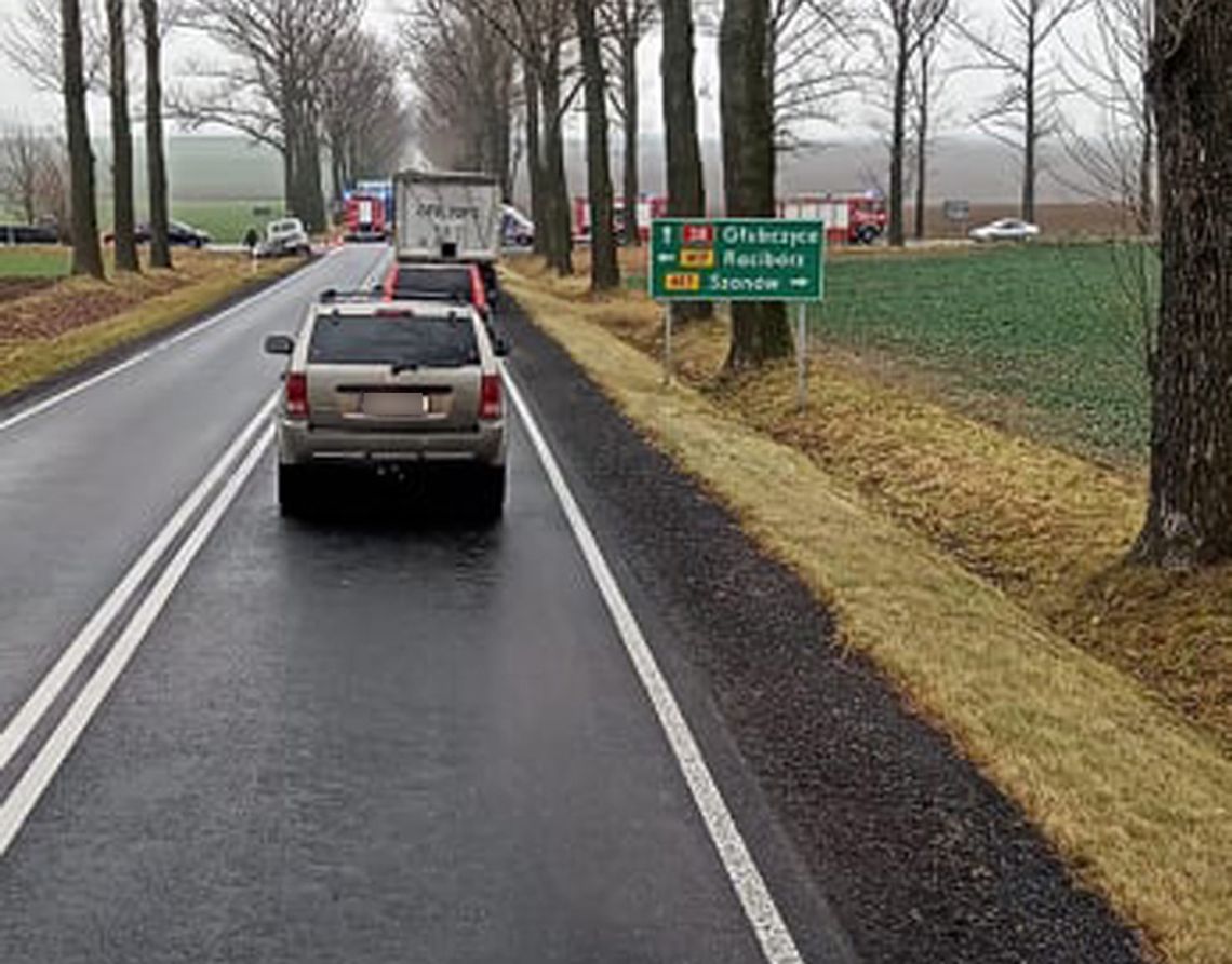 Wypadek z udziałem dwóch samochodów na drodze krajowej nr 38. Strażacy uwalniali osobę zakleszczoną w pojeździe