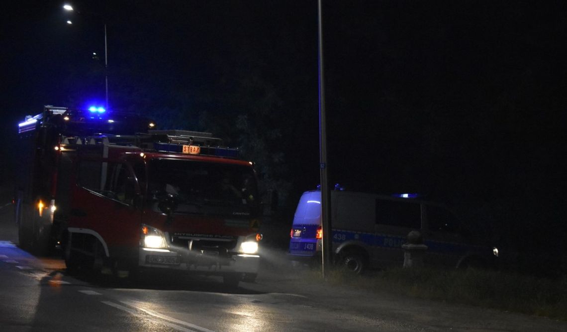 Wypalał gniazdo os, spowodował pożar. Strażacy interweniowali na działkach przy Gliwickiej