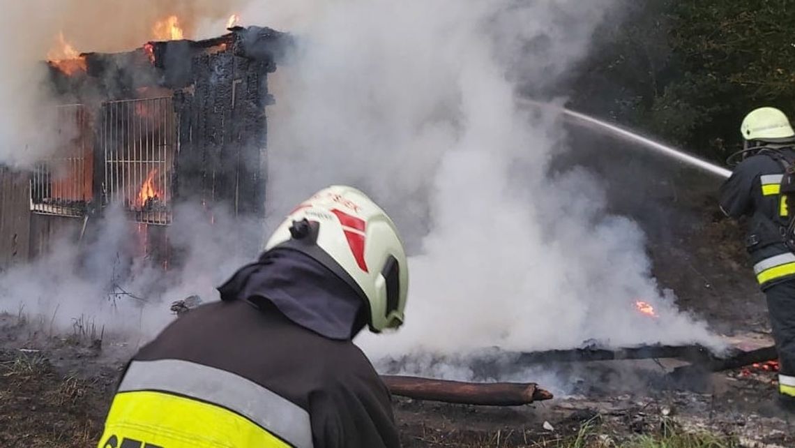 Wypalali pozostałości roślinne na działce. Ogień rozprzestrzenił się na sąsiednią altankę