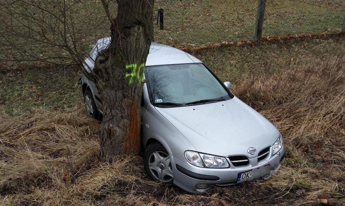 Zakręt na obwodnicy miasta znów zebrał żniwo. Nissan zjechał z drogi i uderzył w drzewo. ZDJĘCIA