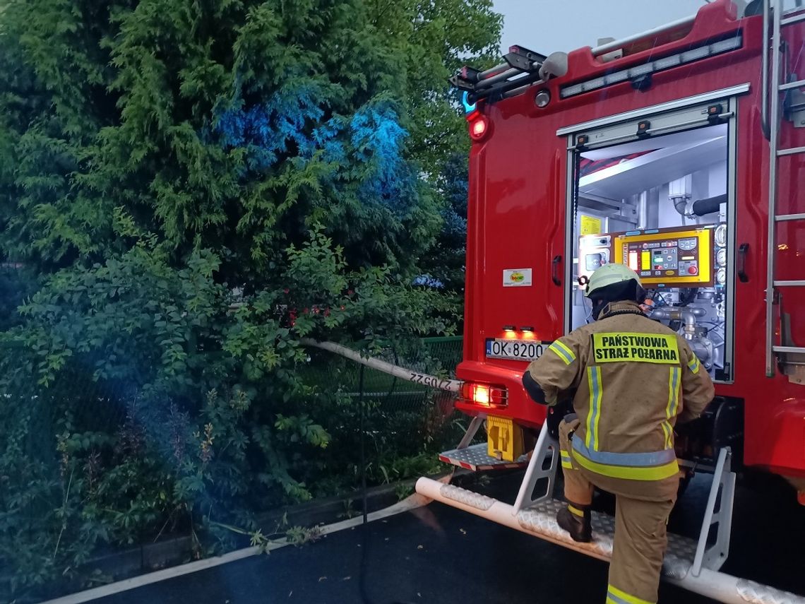 Zalane budynki i zablokowane drogi. Strażacy usuwali skutki wczorajszej nawałnicy