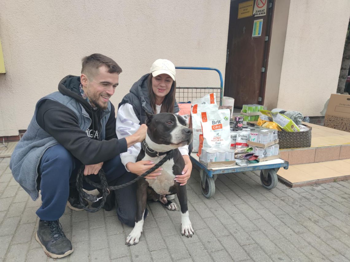 Zamiast kwiatów – pomoc dla zwierząt. Młodzi małżonkowie z Kędzierzyna-Koźla dali piękny przykład