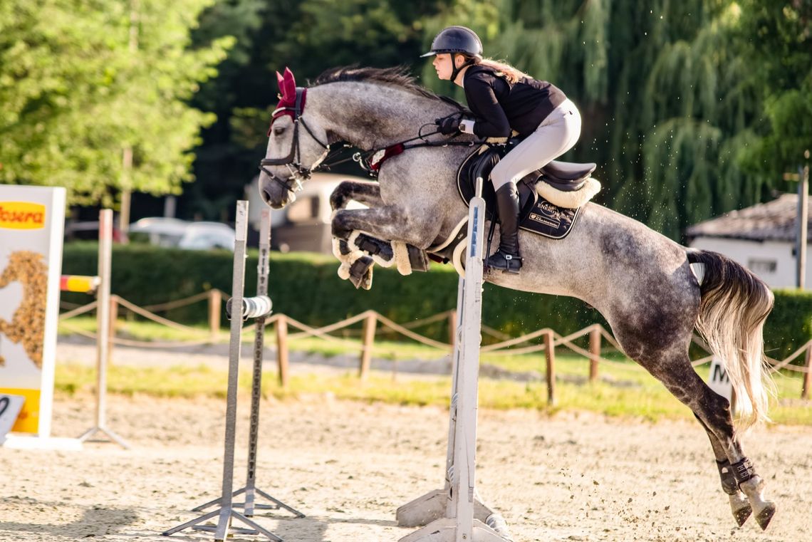 Zawody Skokowe w stajni EquiQueens w Chróstach. Powalczą o Puchar Wójta Gminy Pawłowiczki Zawody Skokowe w stajni EquiQueens w Chróstach. Powalczą o Puchar Wójta Gminy Pawłowiczki