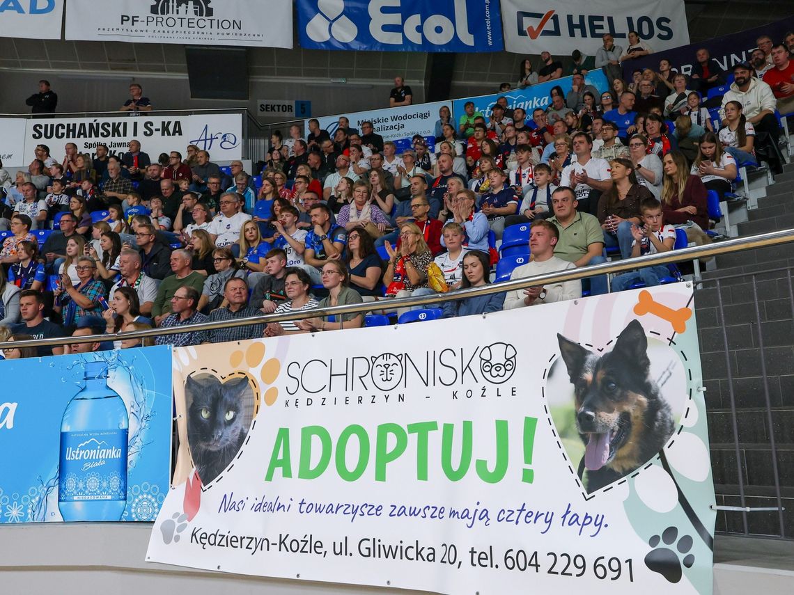 „Zbiórka pyszności dla futrzastości” już dziś. Kibice ZAKSY mogą pomóc bezdomnym zwierzętom „Zbiórka pyszności dla futrzastości” już dziś. Kibice ZAKSY mogą pomóc bezdomnym zwierzętom